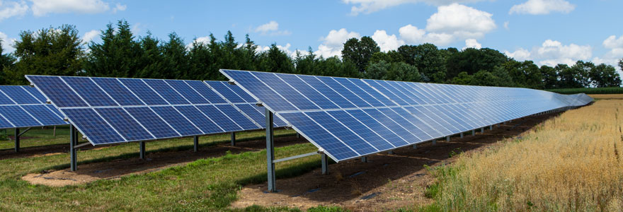 Panneaux solaires au sol